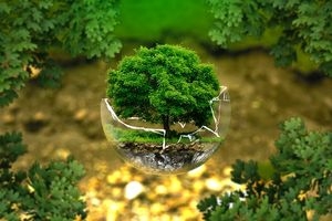 Червените калифорнийски червеи - екология